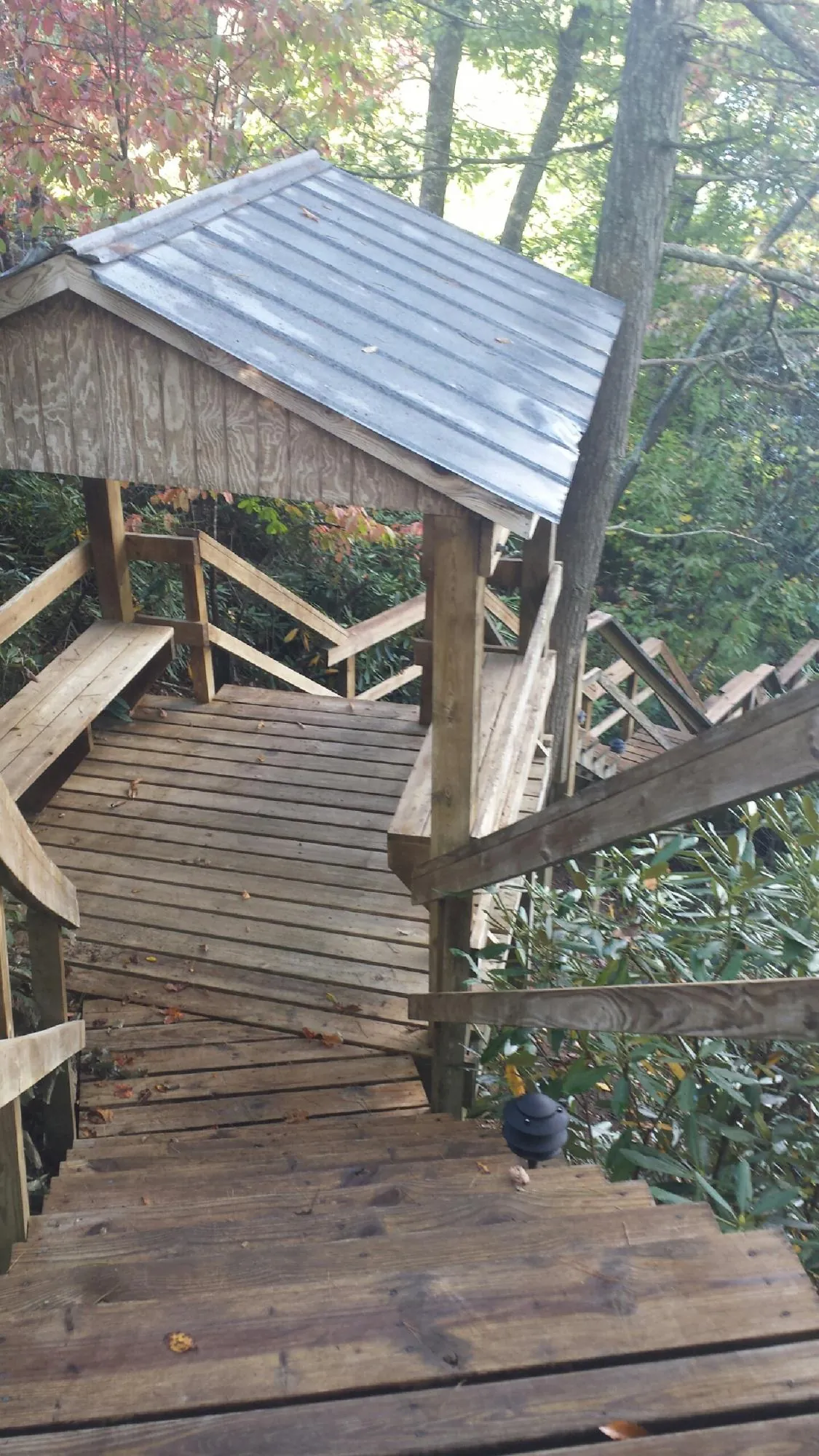 Metal roofed shelter over wooden steps on a wooded walkway — Skylight Repair & Installation work by our crew in Blooming Grove
